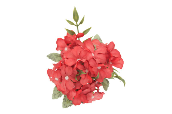 Bouquet de fleurs - roses