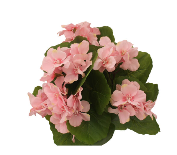 Bouquet de fleurs roses avec feuilles