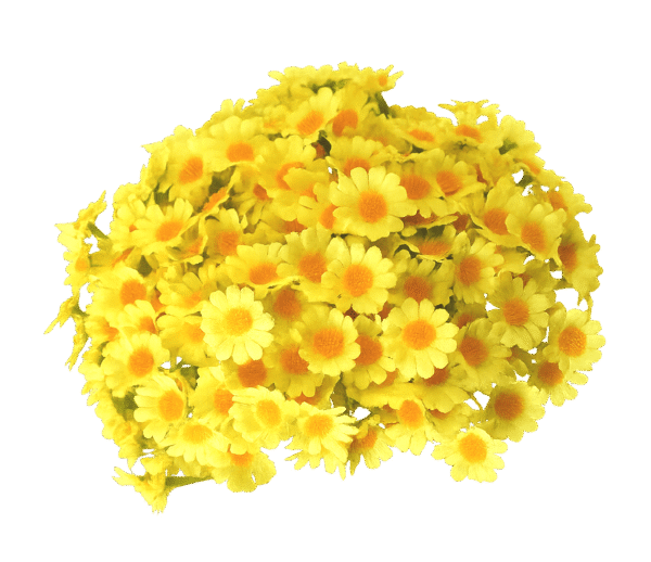 Bouquet de fleurs