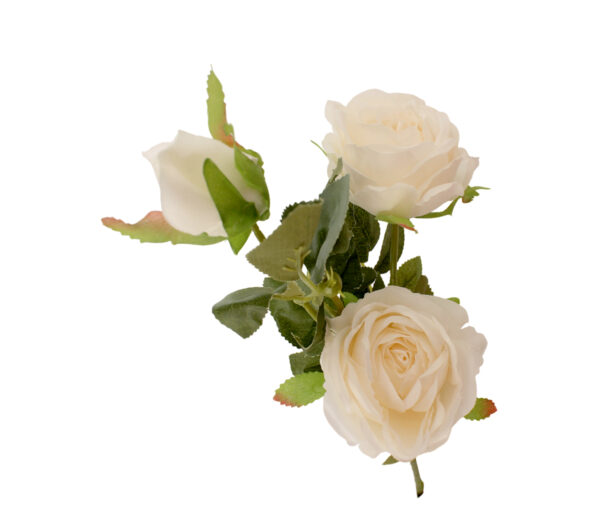 Roses & Tiges varies HALA FLEUR